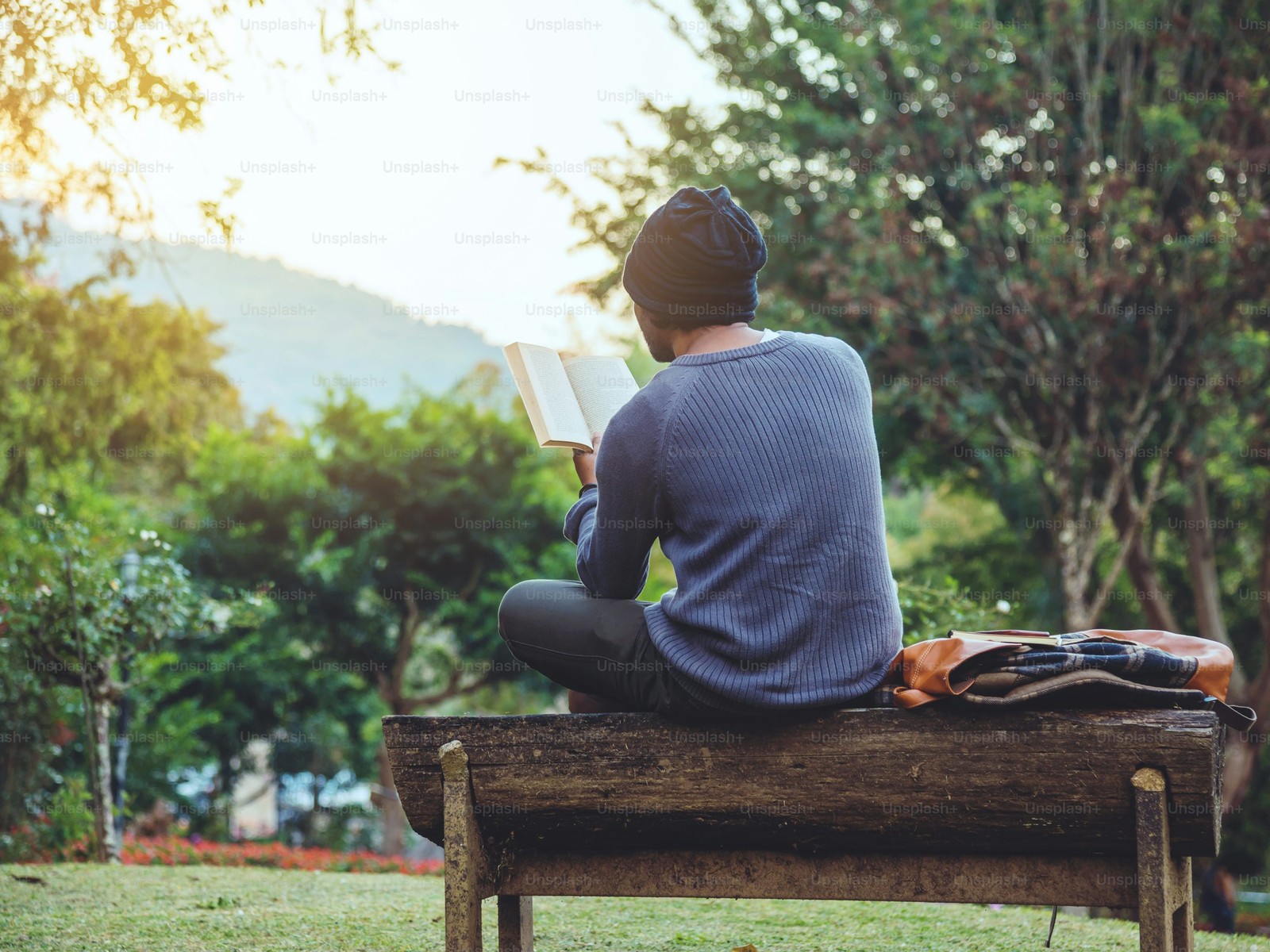 Pessoa lendo a Biblia sentada em um banco no campo, cercada por natureza e paz